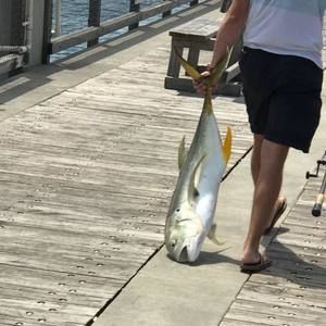 Meet your Posher, Ronald